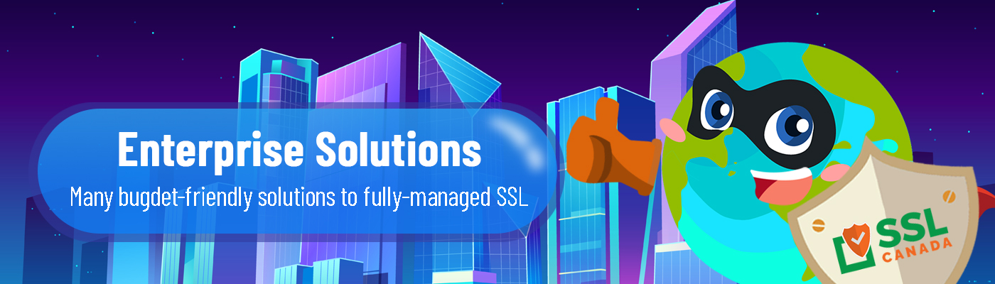 wildcard ssl certificate